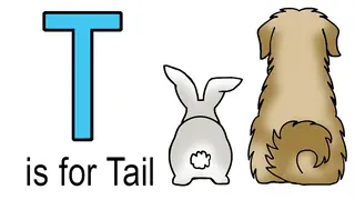 t words for kids example of tail