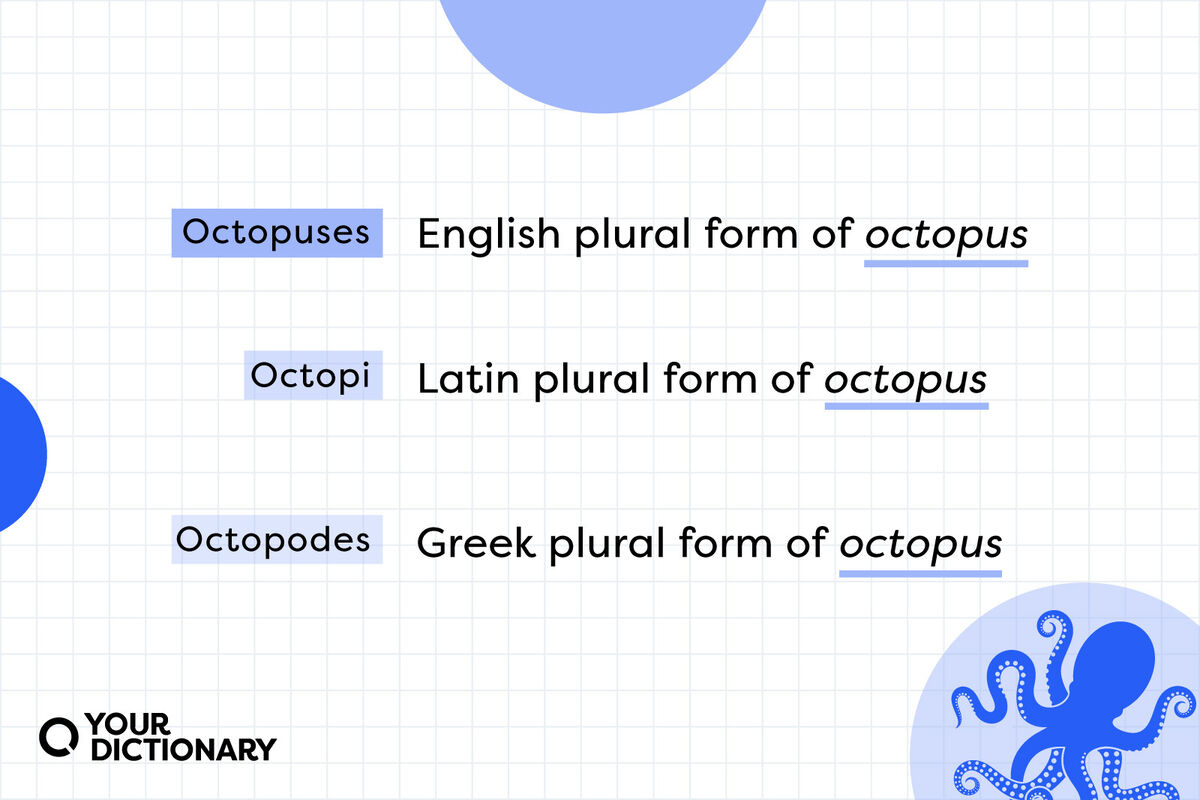 Octopus With Octopi vs Octopuses vs Octopodes Definitions