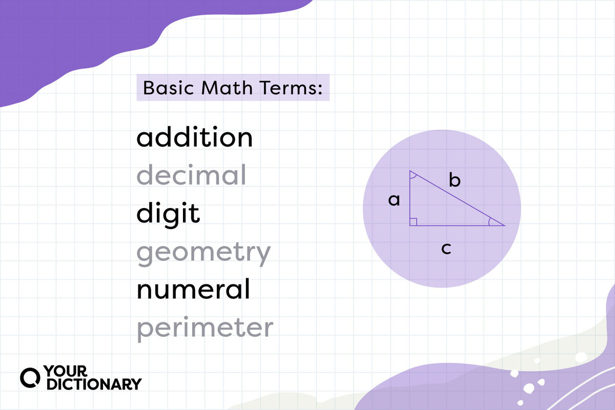 What Are The Terms In Math