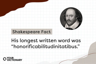 William Shakespeare portrait with fact