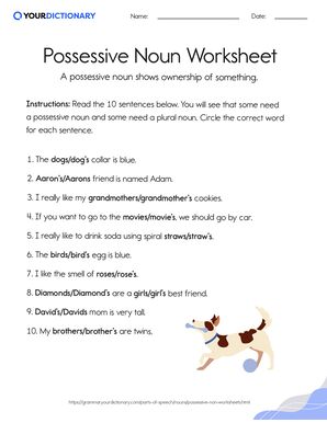 Possessive Noun Worksheet