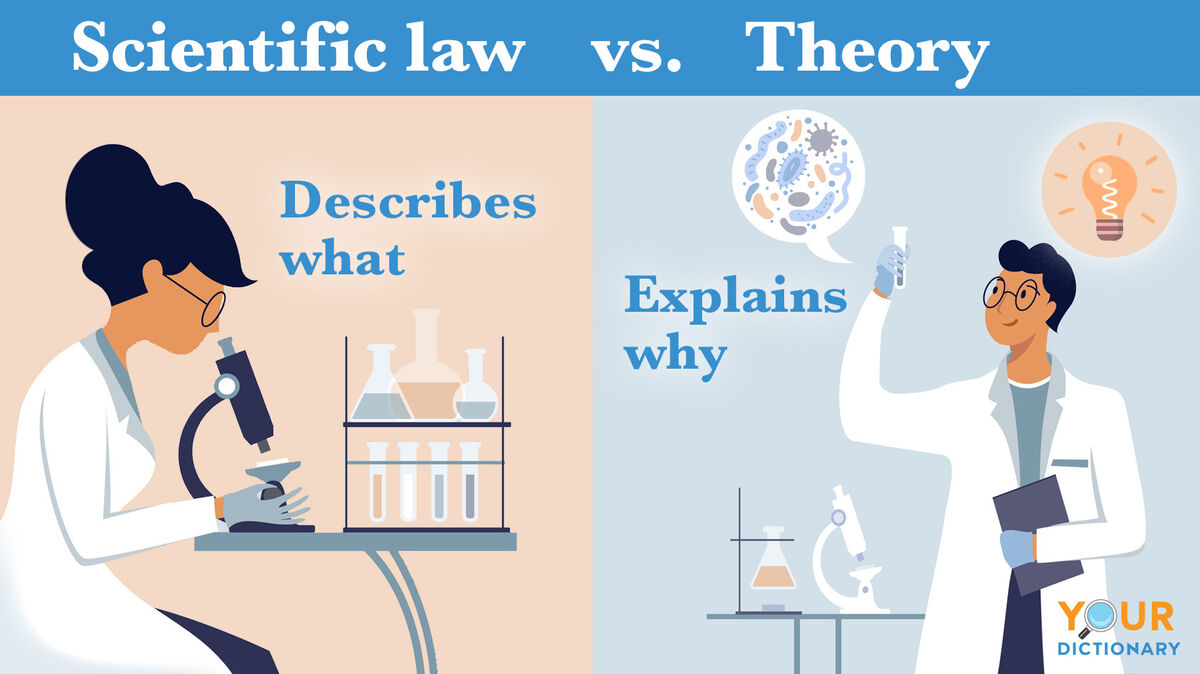 scientific law vs theory examples