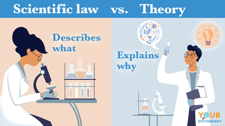 scientific law vs theory vs hypothesis