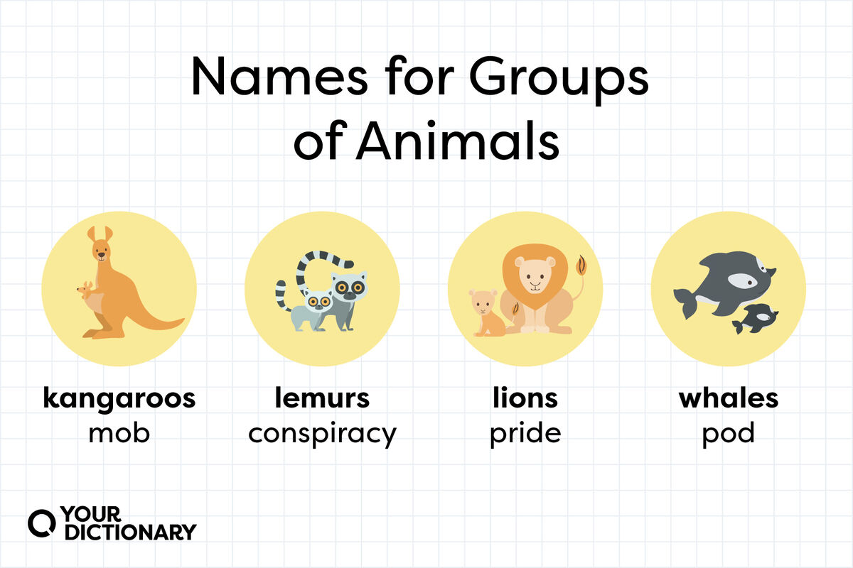 List of Names for Groups of Animals: A Complete Glossary ...