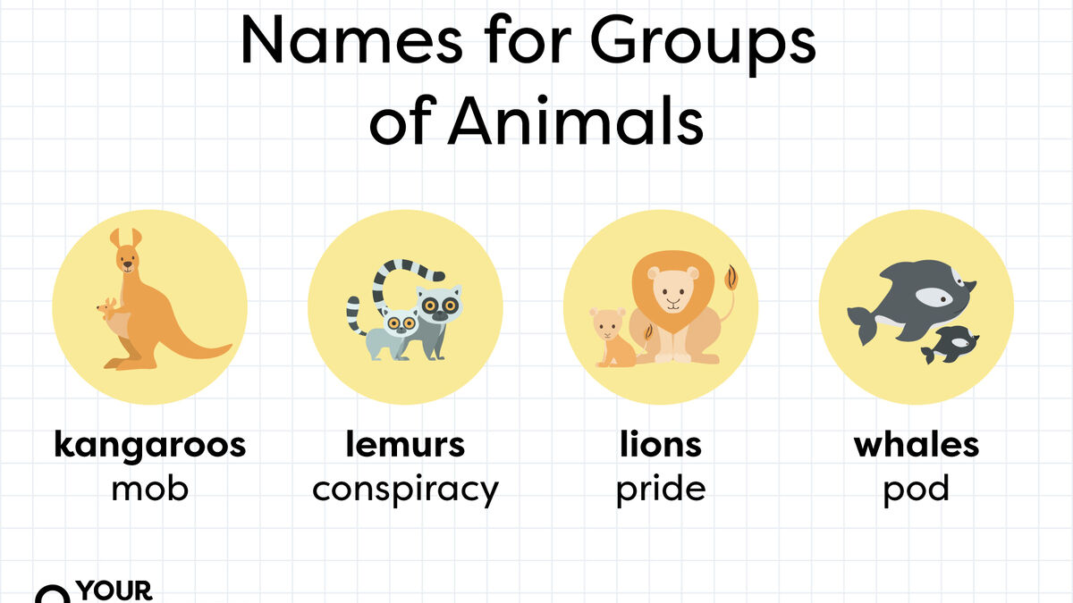 List of Names for Groups of Animals: A Complete Glossary ...