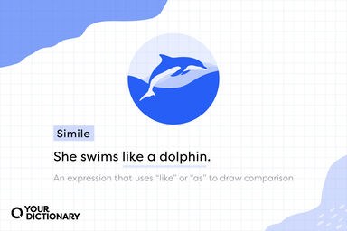 Dolphin With Simile Example and Definition