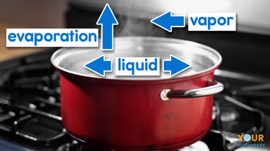 evaporation liquid vapor example