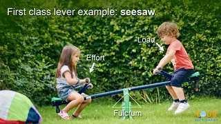 first class lever example of seesaw