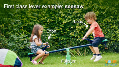 first class lever example of seesaw