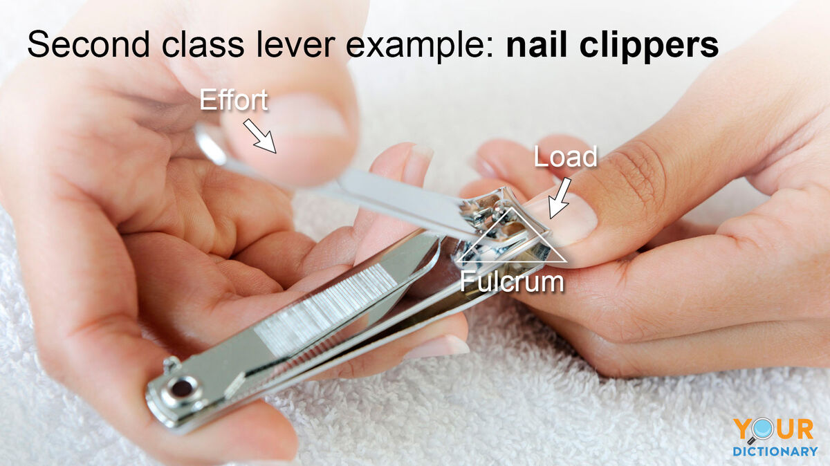 second class lever example of nail clippers
