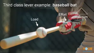 third class lever example of baseball bat