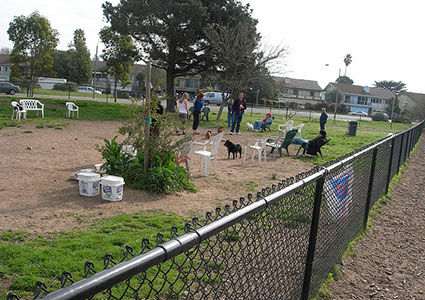 Alameda Small Dog Park