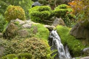 Discover fun attractions in Golden Gate Park.