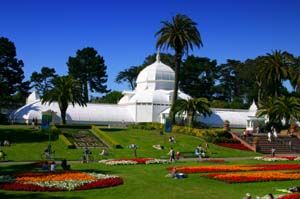 The Conservatory is a favorite San Francisco attraction.