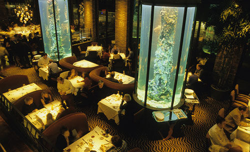 Waterbar interior with lit aquariums