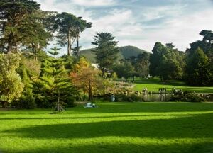 Golden Gate Park is a main attraction in San Francisco.