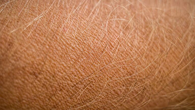 weird body facts human skin