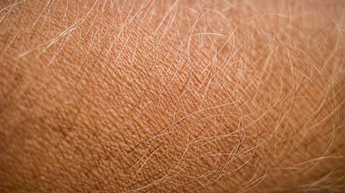 weird body facts human skin