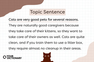 Cat icon with Topic Sentence Example