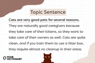 Cat icon with Topic Sentence Example