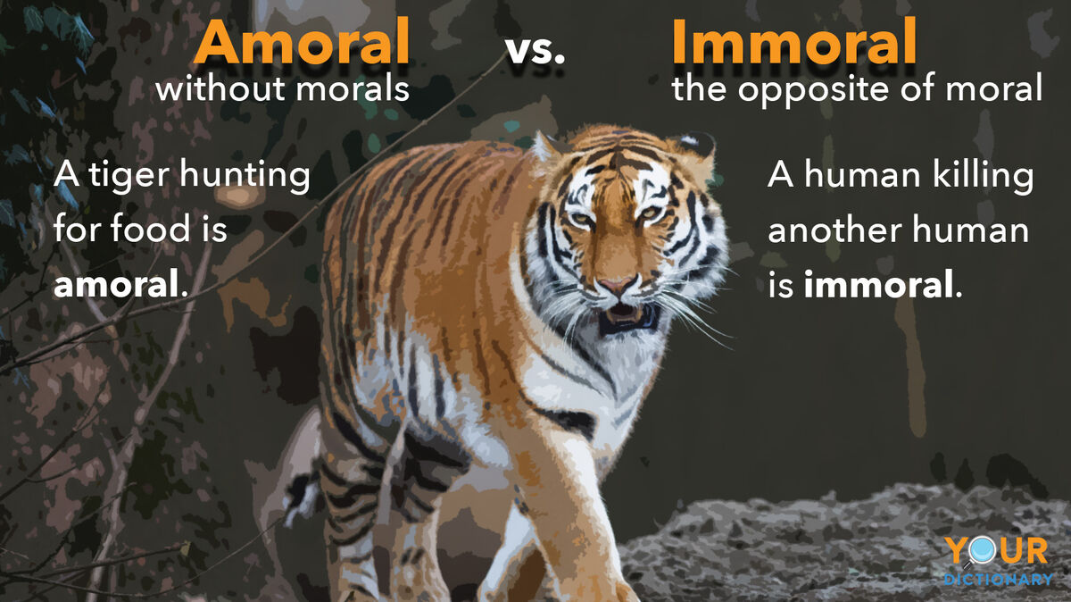 amoral vs immoral example showing tiger hunting