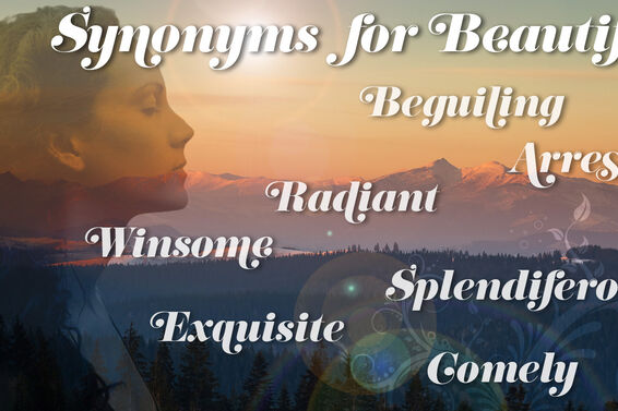 synonyms for beautiful