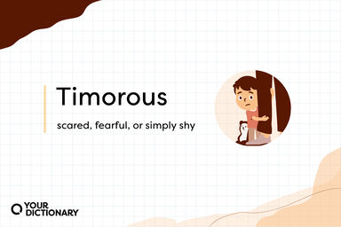 Illustration of Scared Boy With Rare Word Timorous and Meaning