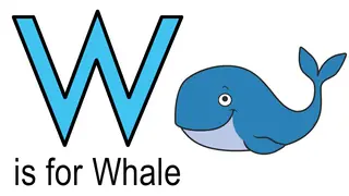 w words example of whale