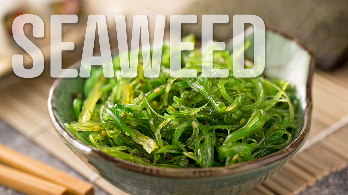 seaweed salad s food word