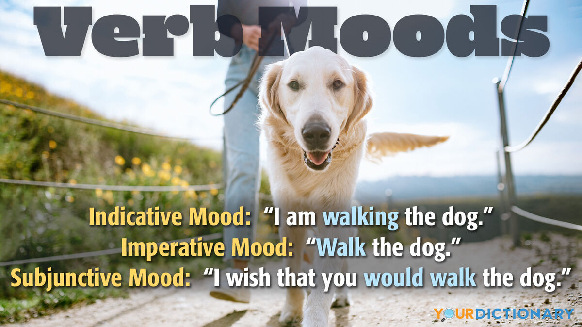 what-is-mood-in-grammar-understanding-verb-moods-yourdictionary