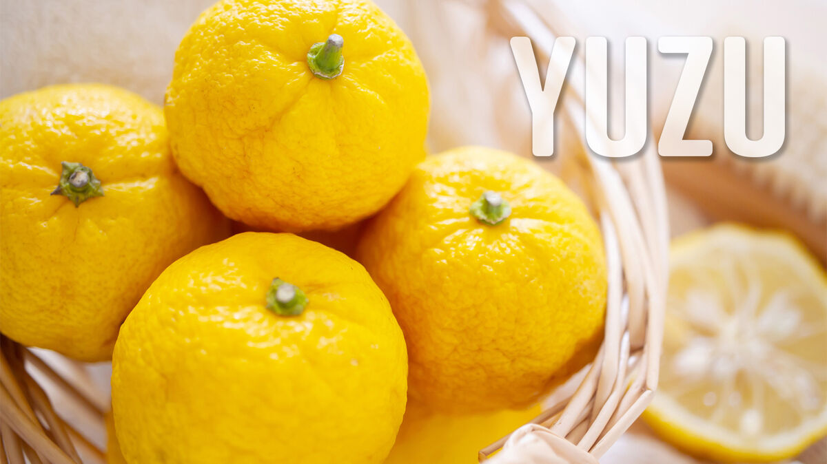 Japanese yuzu citrus food y culture
