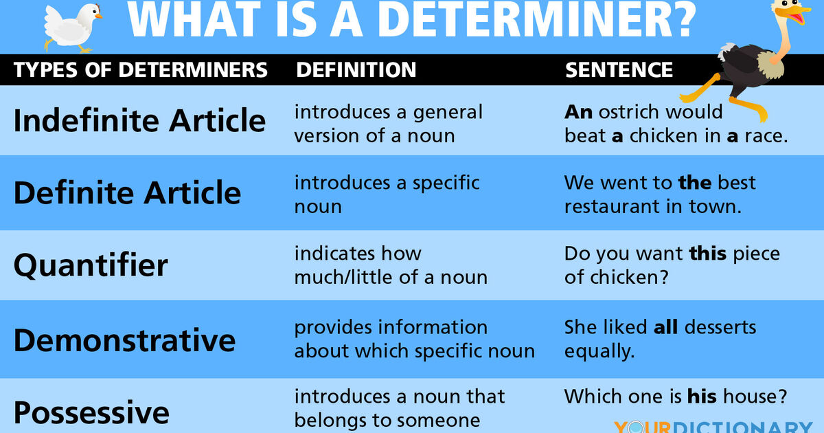 What Is A Determiner Yourdictionary