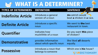 what is a determiner infographic