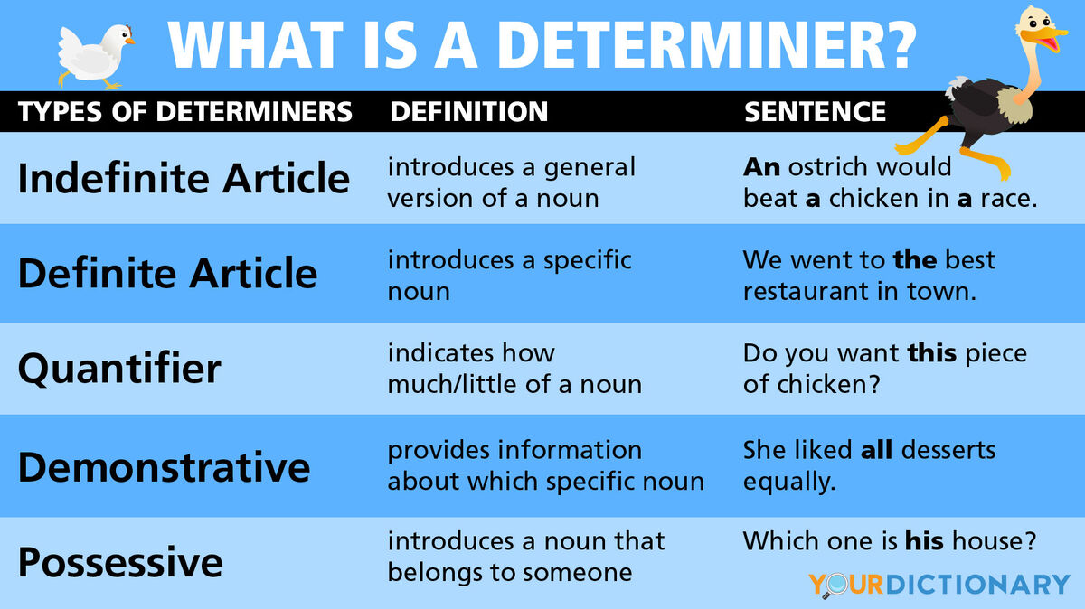 Types of Articles: Definite Article & Indefinite Articles - ESL