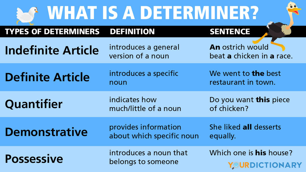 What Is A Determiner Yourdictionary