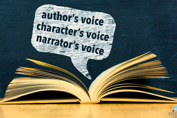 voice in writing with author's character's narrator's