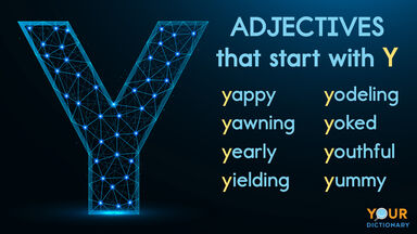 adjectives that start with Y
