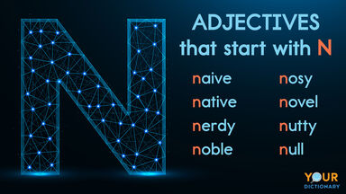 adjectives that start with N