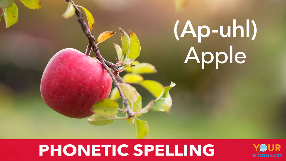 phonetic-spelling-guide-to-what-it-is-and-how-it-s-used-yourdictionary