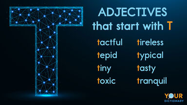 adjectives that start with T