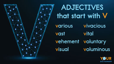 adjectives that start with V