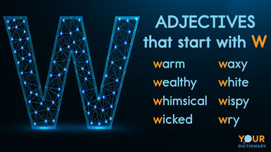 adjectives that start with W