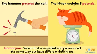 homonym example with the word pounds