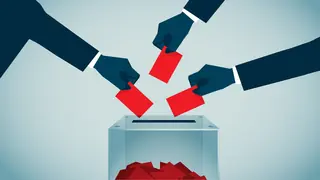 direct democracy example of voting