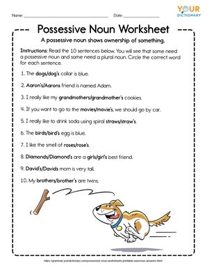 possessive noun worksheet