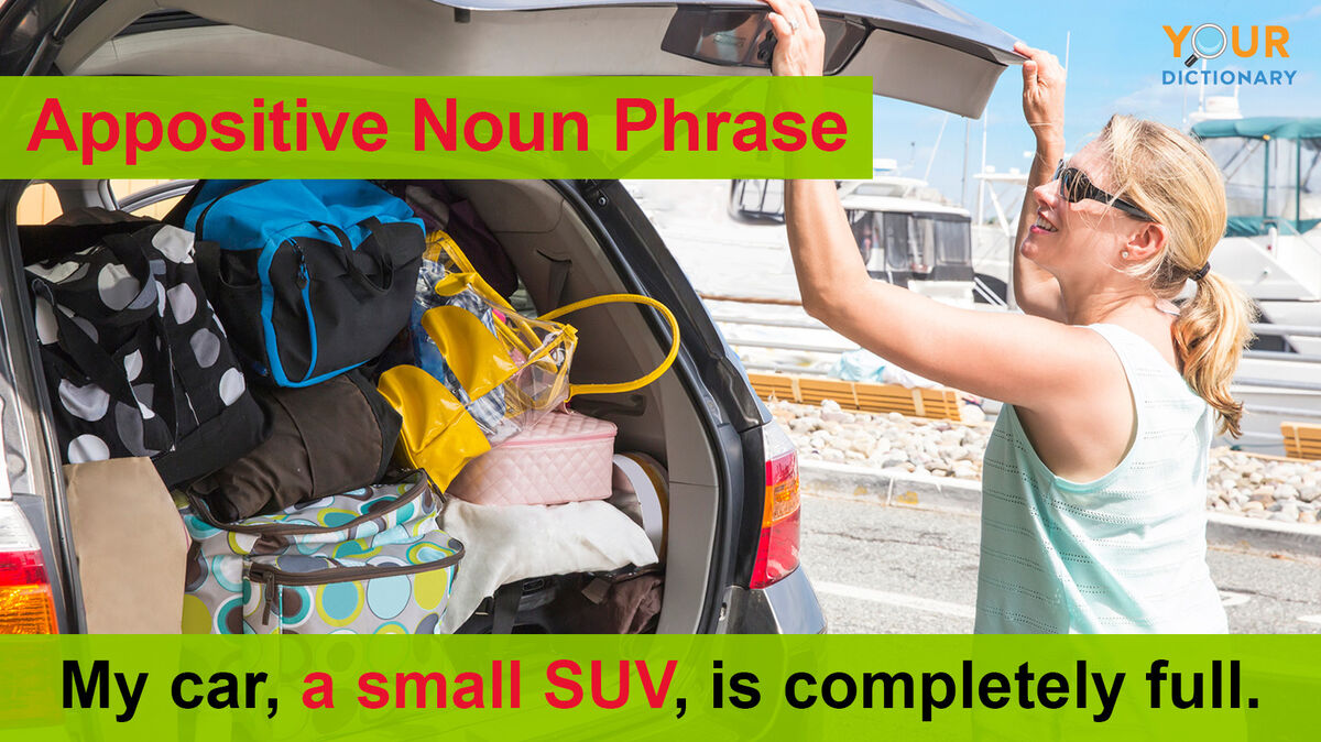 appositive noun phrase example