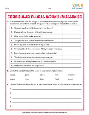 irregular plural nouns challenge