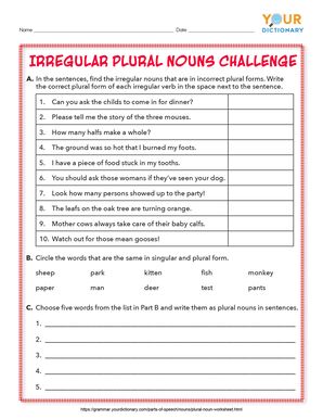 Plural Nouns Practice Worksheet