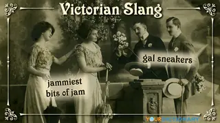 victorian slang jammiest bits of jam gal sneakers