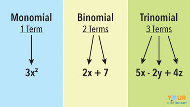 Examples Of Monomials And Polynomials